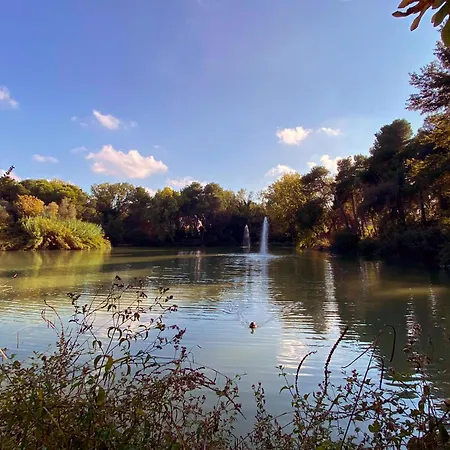 Apartment Loft Pineta Dannunziana