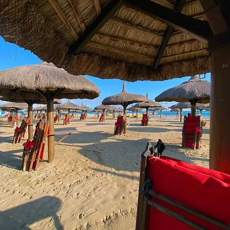 Loft Pineta Dannunziana - Mare - Family Friendly - Self Check In - Noleggio Ombrellone & Bici Pescara