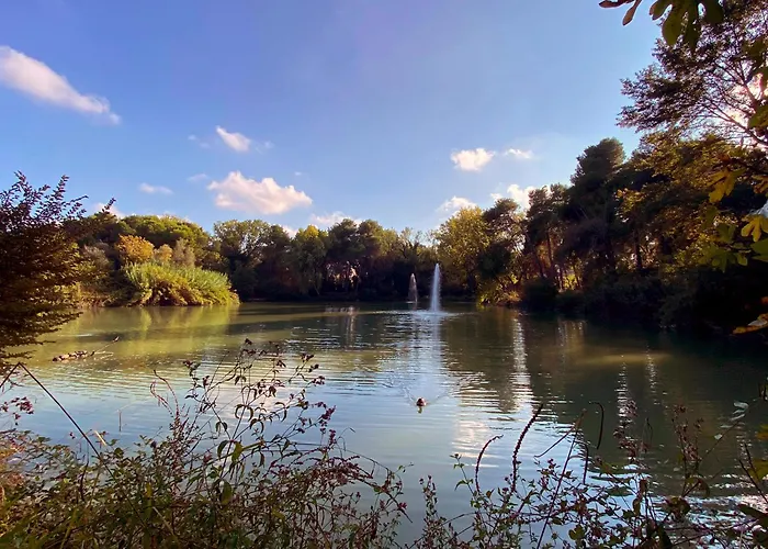 Daire Loft Pineta Dannunziana